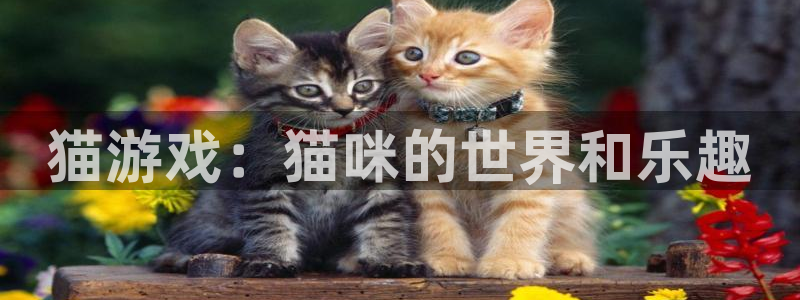 杏悦平台下载