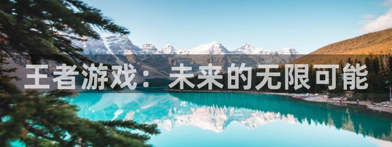 杏悦平台可靠吗是真的吗