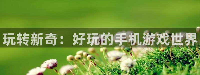 杏悦 -首选推荐平台