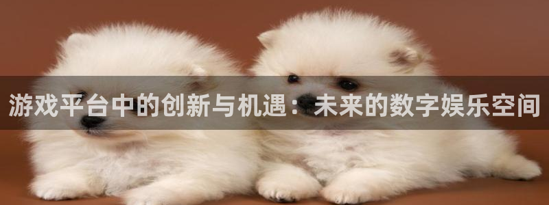 杏悦登录网址：游戏平台中的创新与机遇：未来的数字娱乐空间