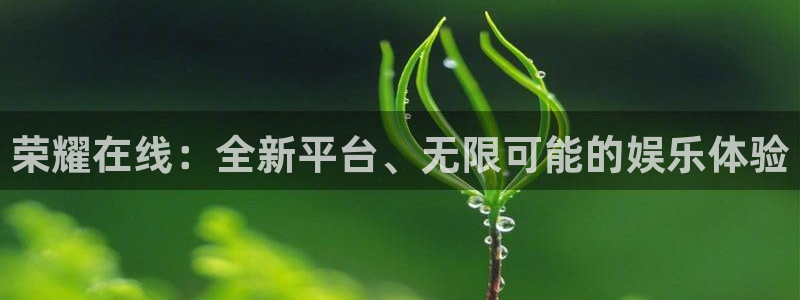 杏悦平台官网下载安装