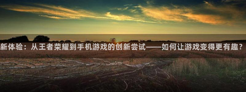 杏悦登录注册：新体验：从王者荣耀到手机游戏的创新尝试——如何