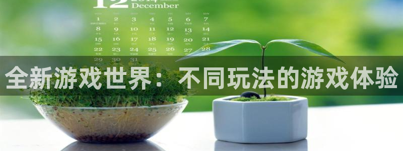 杏悦代理是正规品牌吗：全新游戏世界：不同玩法的游戏体验