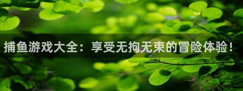 杏悦娱乐注册平台官网