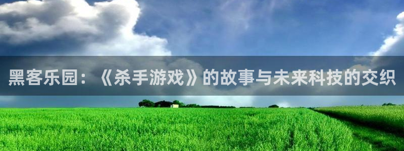 杏悦娱乐注册地址在哪里啊：黑客乐园：《杀手游戏》的故事与未来