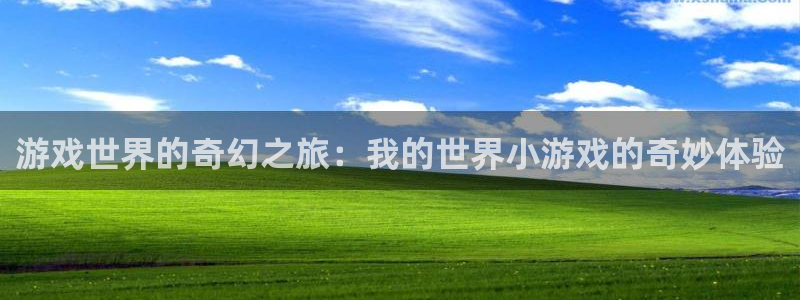 杏悦主管
