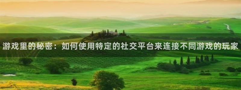 杏悦脆皮烤鸭
