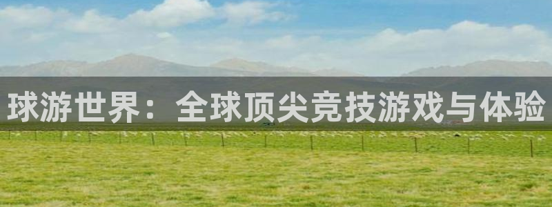 杏悦娱乐注册账号