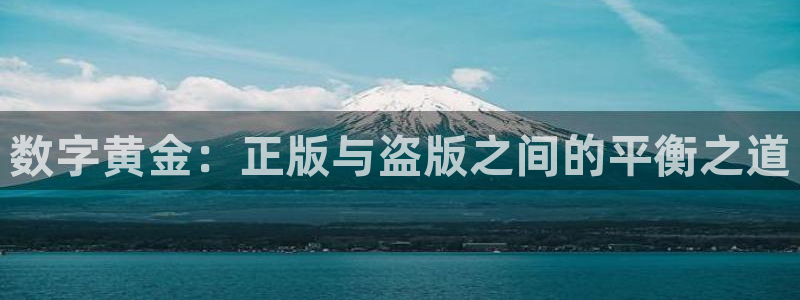 杏悦娱乐注册地址查询官网：数字黄金：正版与盗版之间的平衡之道