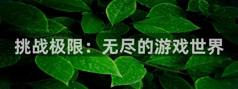 杏悦平台登录地址