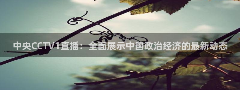 绿茵直播app：中央CCTV1直播：全面展示中国政治经济的最新动态
