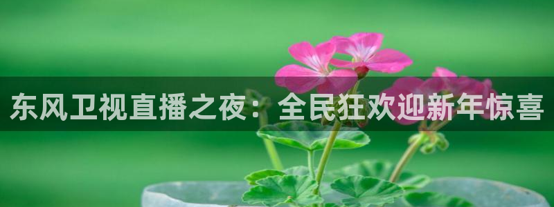新闻图片