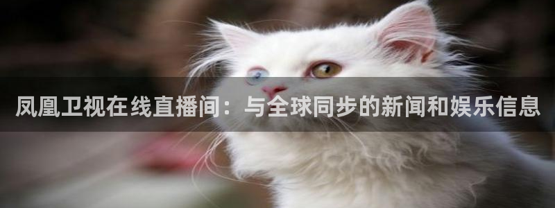 绿茵足球直播免费观看：凤凰卫视在线直播间：与全球同步的新闻和娱乐信息