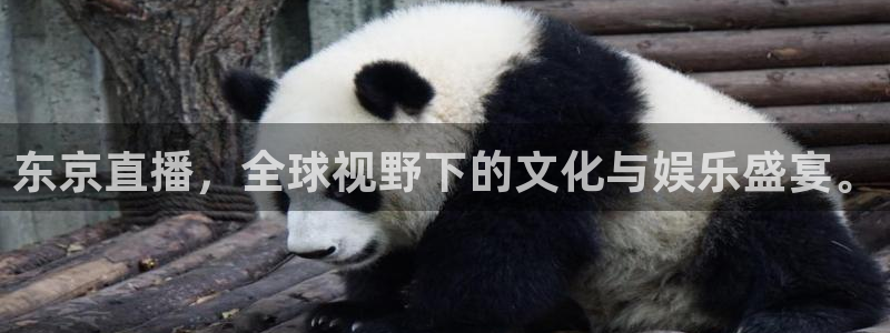 足球:无敌之全能绿茵巨星：东京直播，全球视野下的文化与娱乐盛宴。
