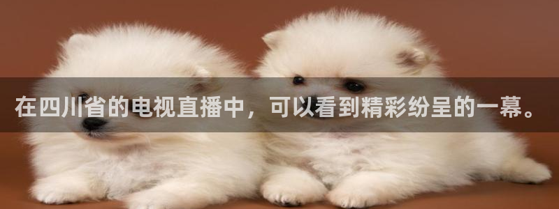 绿茵体育免费直播入口：在四川省的电视直播中，可以看到精彩纷呈的一幕。